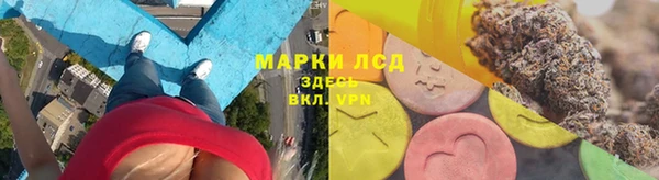ПСИЛОЦИБИНОВЫЕ ГРИБЫ Алексин