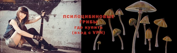 ПСИЛОЦИБИНОВЫЕ ГРИБЫ Алексин
