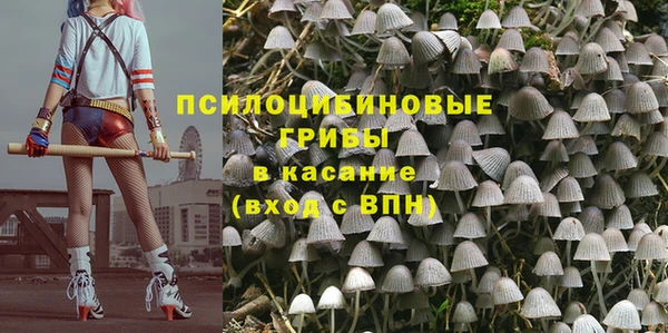 тгк Абаза